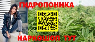 Альфа ПВП Ипатово
