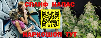 PSILOCYBIN Ирбит