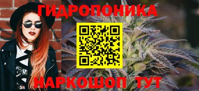PSILOCYBIN Абакан