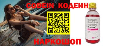 ешки Кингисепп