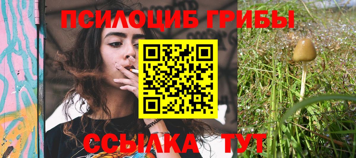 Псилоцибиновые грибы мицелий Славянск-на-Кубани