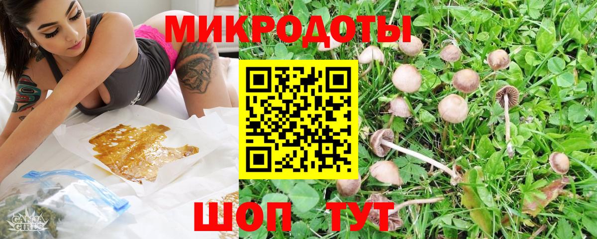 Псилоцибиновые грибы мухоморы Славянск-на-Кубани