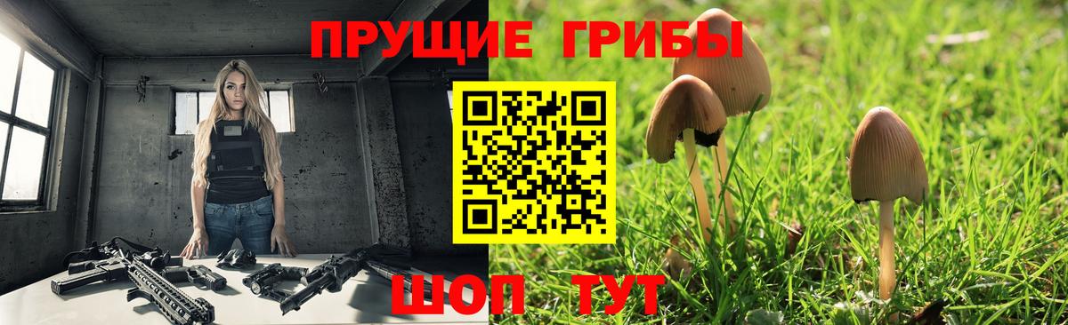 Галлюциногенные грибы мухоморы  Славянск-на-Кубани  Псилоцибиновые грибы GOLDEN TEACHER 