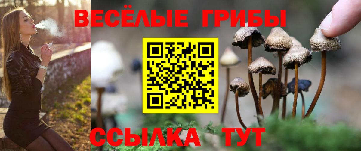 Псилоцибиновые грибы мухоморы  Псилоцибиновые грибы мухоморы  Славянск-на-Кубани  Вход с VPN 
